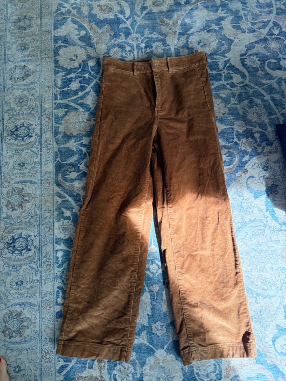 Everlane Tan Corduroy Pants